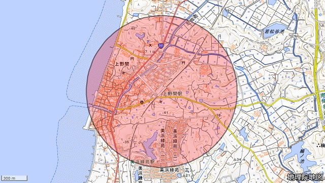 上野間駅周辺図